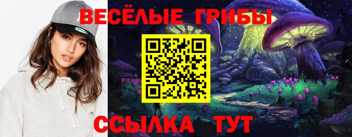 Видное  Галлюциногенные грибы мухоморы  Вход с VPN  Псилоцибиновые грибы MAGIC MUSHROOMS 